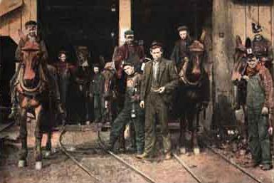 Miners and their Mules